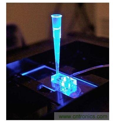 加州柏克萊大學所開發(fā)的&ldquo;心臟單芯片&rdquo;用以放置從成人干細胞產(chǎn)出的人類心臟組織，該系統(tǒng)有一天可望替代實驗動物應用于藥物安全篩檢